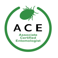 ACE Certification ACE Certification